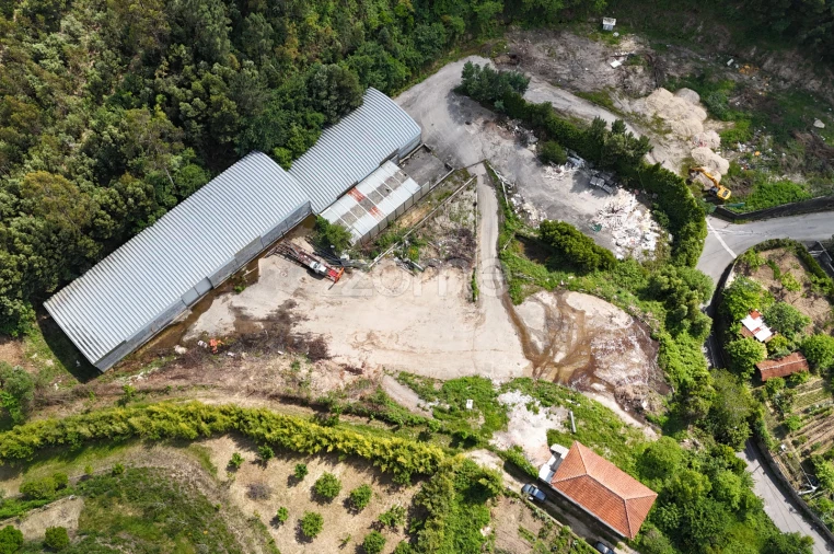 Terreno Comércio / Armazém para Venda em Pinheiro da Bemposta, Travanca e Palmaz Foto 4