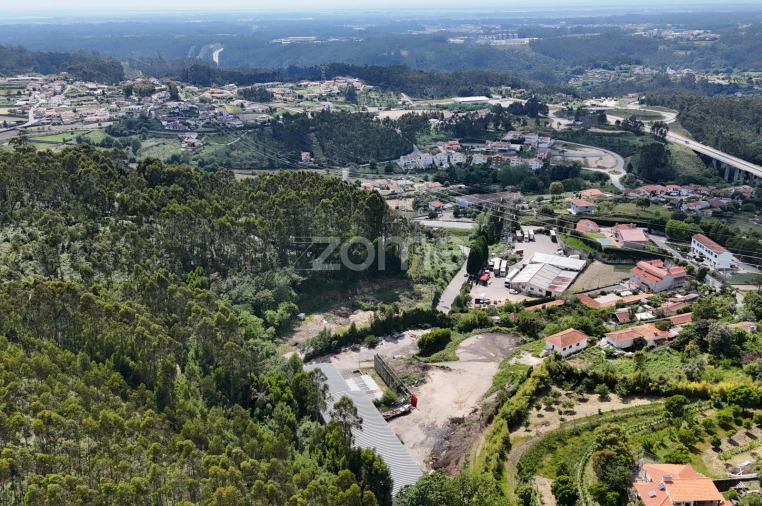 Terreno Comércio / Armazém para Venda em Pinheiro da Bemposta, Travanca e Palmaz Foto 5