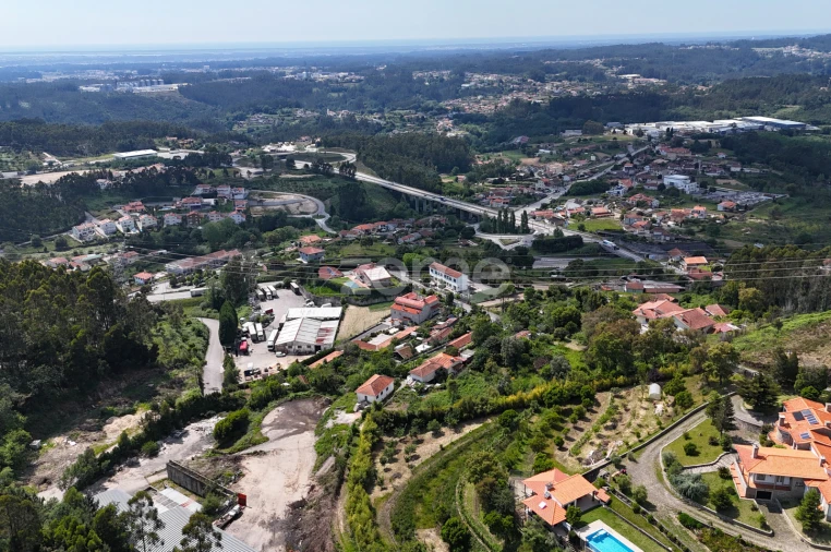 Terreno Comércio / Armazém para Venda em Pinheiro da Bemposta, Travanca e Palmaz Foto 6