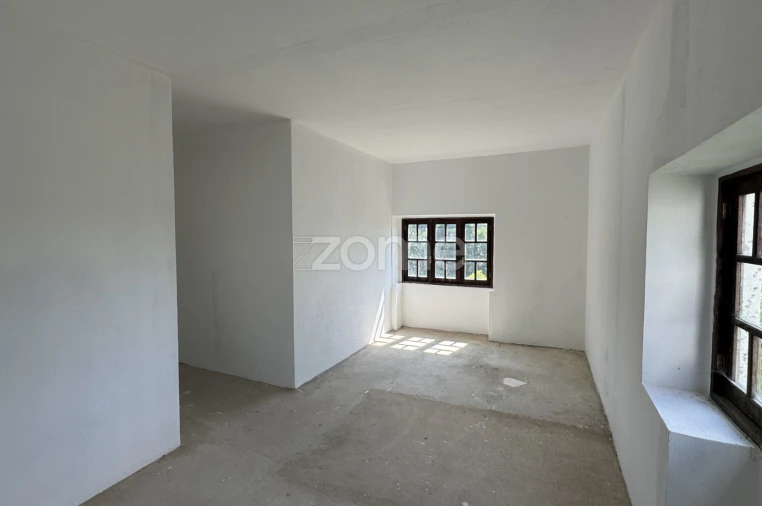 Terreno Comércio / Armazém para Venda em Pinheiro da Bemposta, Travanca e Palmaz Foto 28