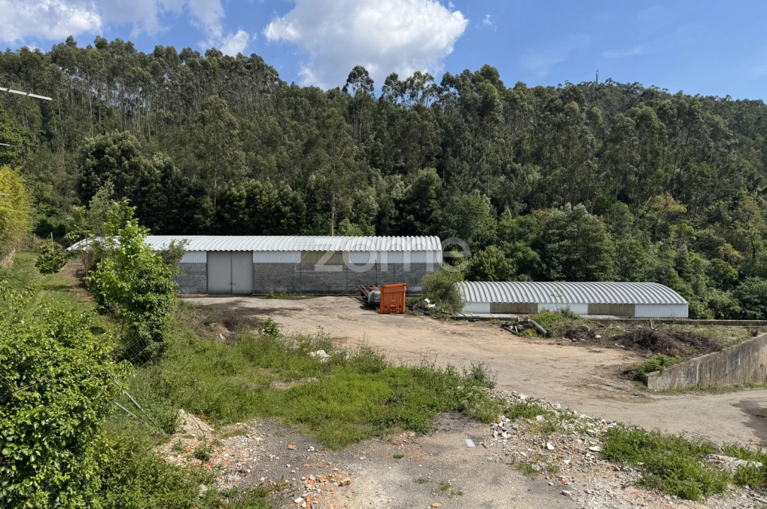 Terreno Comércio / Armazém para Venda em Pinheiro da Bemposta, Travanca e Palmaz Foto 21