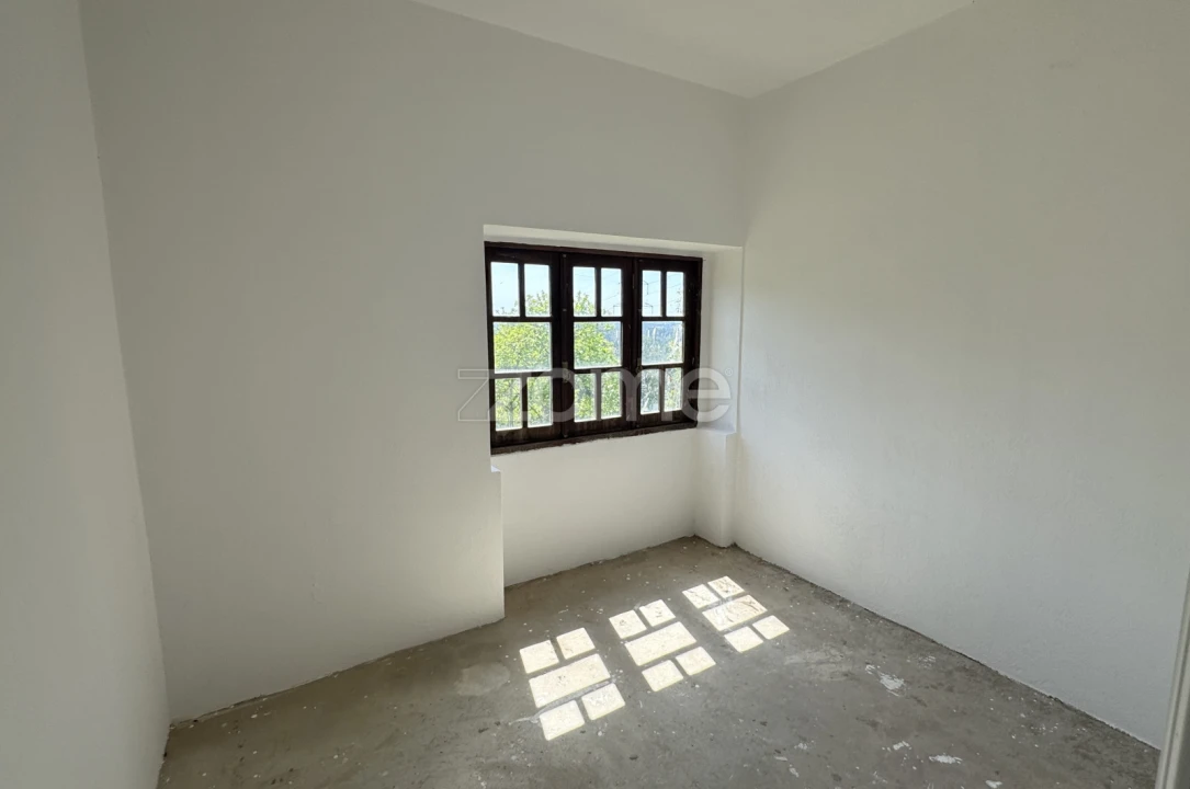 Terreno Comércio / Armazém para Venda em Pinheiro da Bemposta, Travanca e Palmaz Foto 24