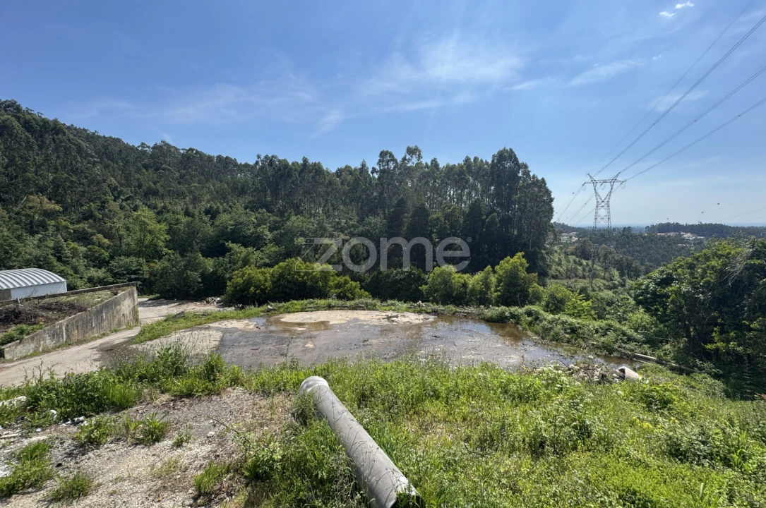 Terreno Comércio / Armazém para Venda em Pinheiro da Bemposta, Travanca e Palmaz Foto 30