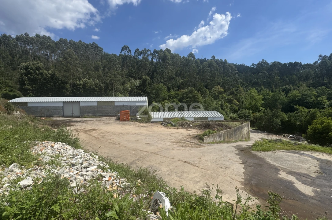 Terreno Comércio / Armazém para Venda em Pinheiro da Bemposta, Travanca e Palmaz Foto 40