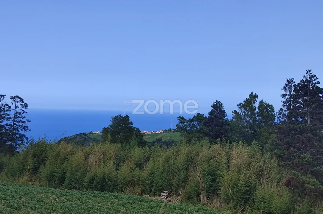 Terreno para Venda em Algarvia Foto 4