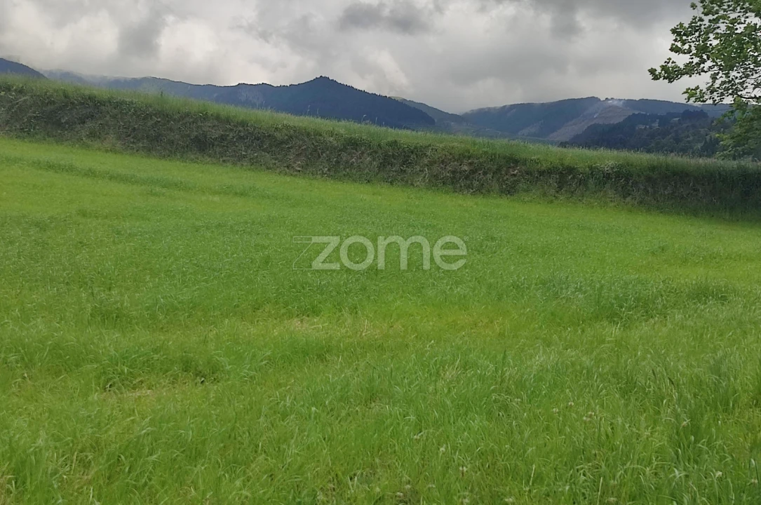 Terreno para Venda em Algarvia Foto 12