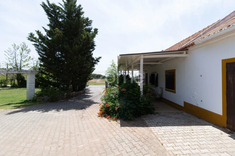 Negócio para Venda em Santiago do Cacém, Santa Cruz e São Bartolomeu da Serra Foto 20