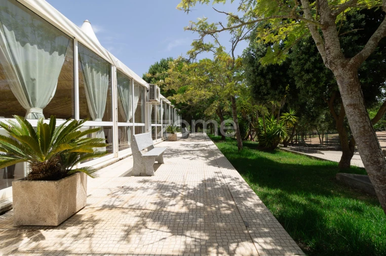 Negócio para Venda em Santiago do Cacém, Santa Cruz e São Bartolomeu da Serra Foto 9