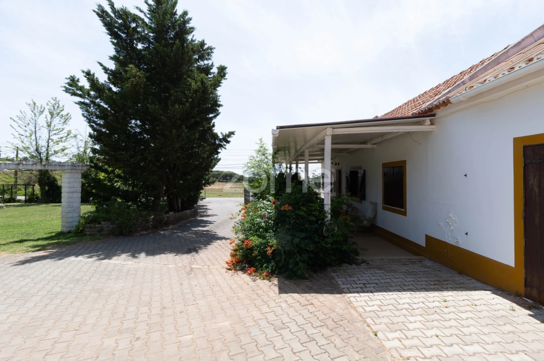 Negócio para Venda em Santiago do Cacém, Santa Cruz e São Bartolomeu da Serra Foto 19