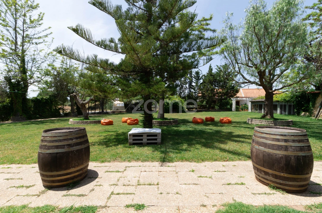 Negócio para Venda em Santiago do Cacém, Santa Cruz e São Bartolomeu da Serra Foto 5