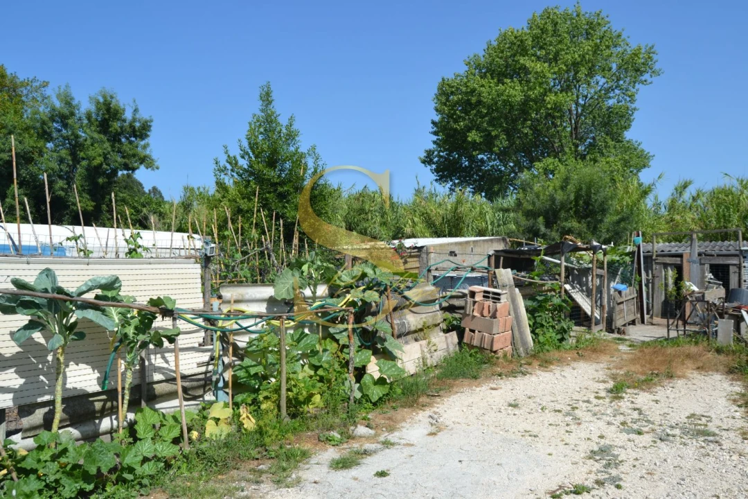 Moradia T3 para Venda em Marinha Grande Foto 39