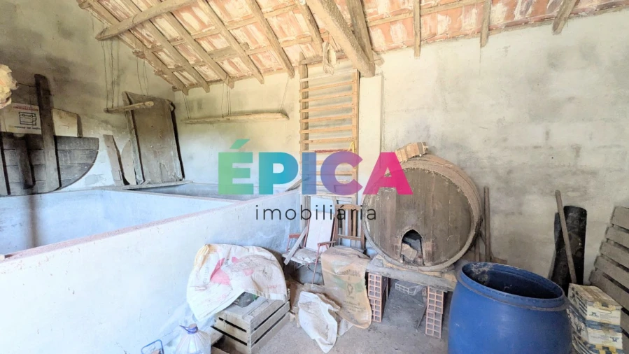 Terreno para Venda em São Pedro da Cadeira Foto 11