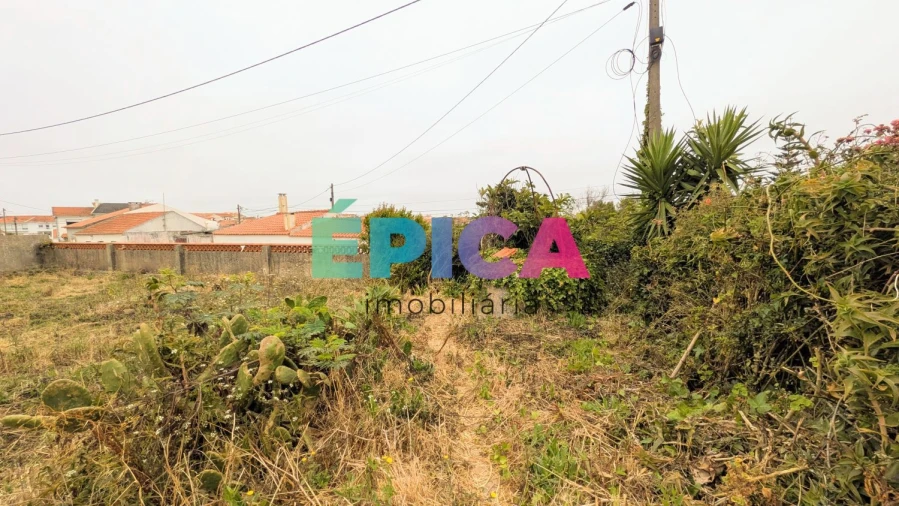 Terreno para Venda em São Pedro da Cadeira Foto 18