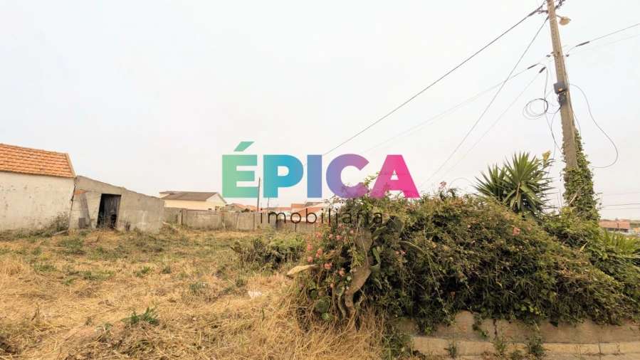 Terreno para Venda em São Pedro da Cadeira Foto 25