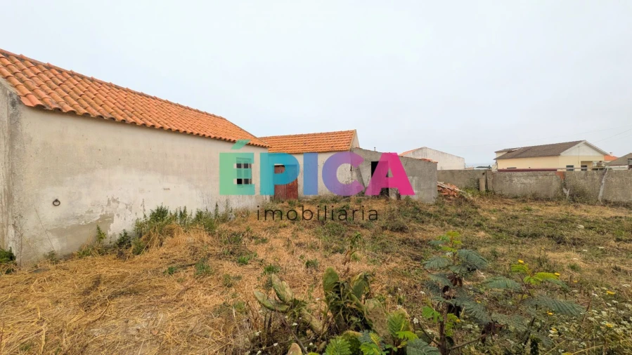 Terreno para Venda em São Pedro da Cadeira Foto 23