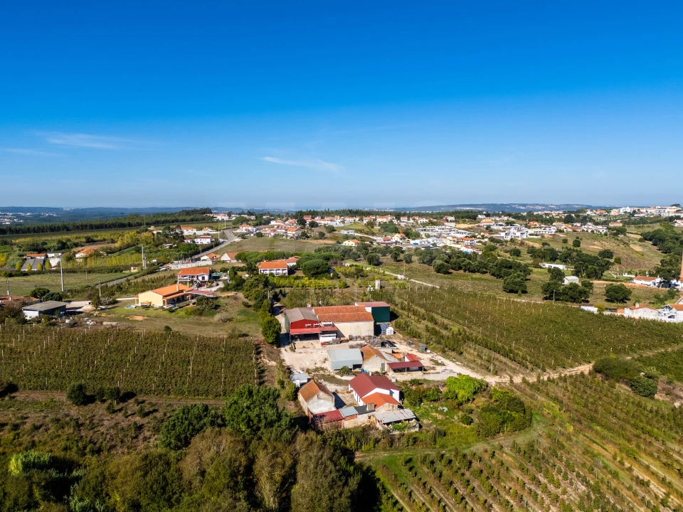 Moradia T3 para Venda em Nossa Senhora do Pópulo, Coto e São Gregório Foto 11