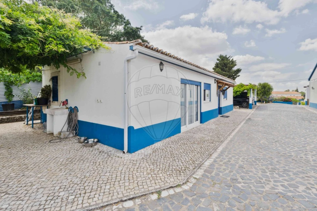 Moradia T3 para Venda em Gambia-Pontes-Alto da Guerra Foto 6