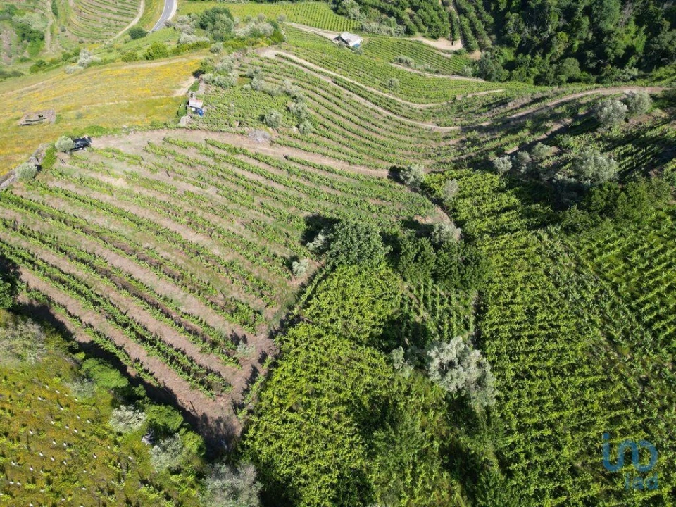 Terreno para Venda em Samodães Foto 7