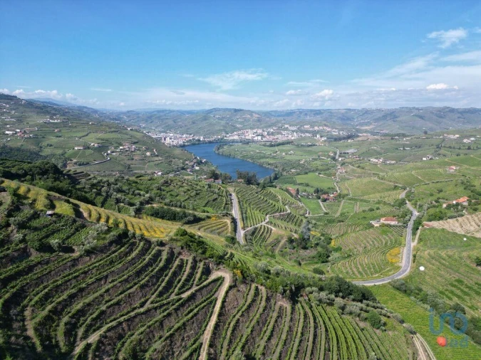 Terreno para Venda em Samodães