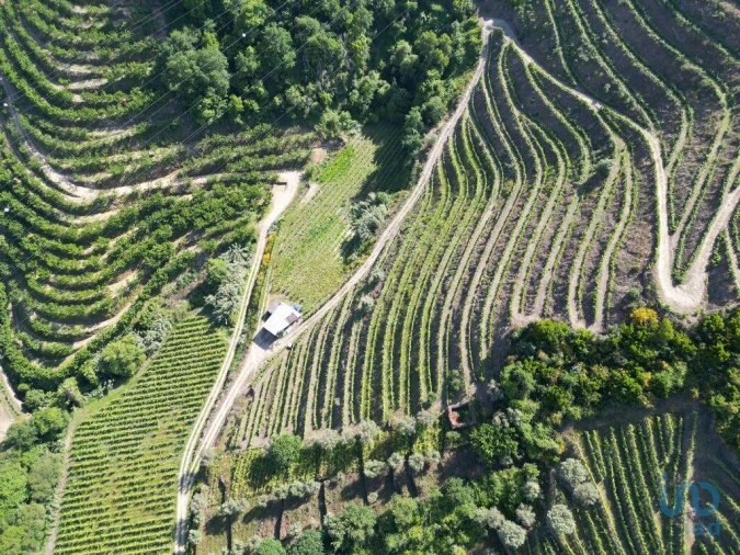 Terreno para Venda em Samodães Foto 9