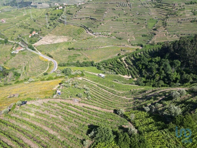 Terreno para Venda em Samodães Foto 6