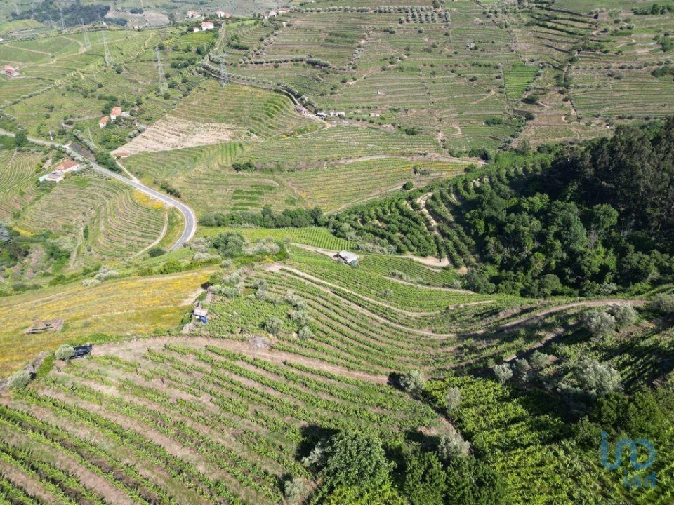 Terreno para Venda em Samodães Foto 6