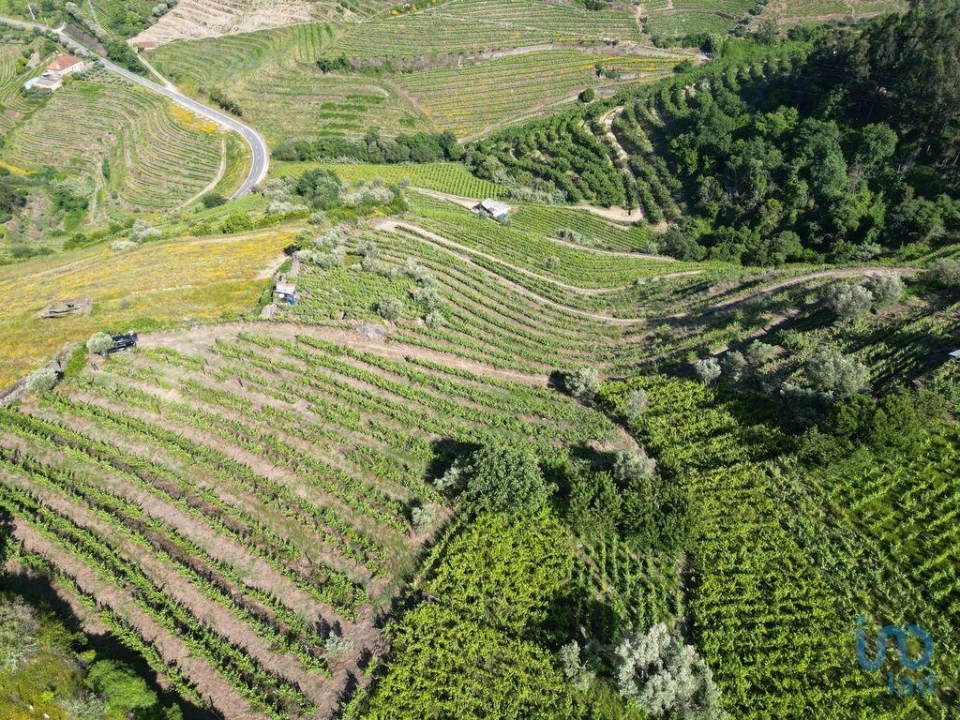 Terreno para Venda em Samodães Foto 5