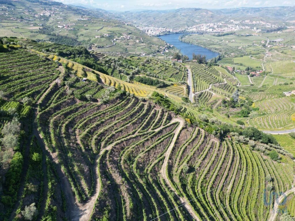 Terreno para Venda em Samodães Foto 3
