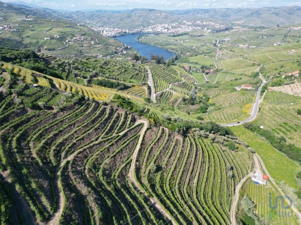 Terreno para Venda em Samodães Foto 4