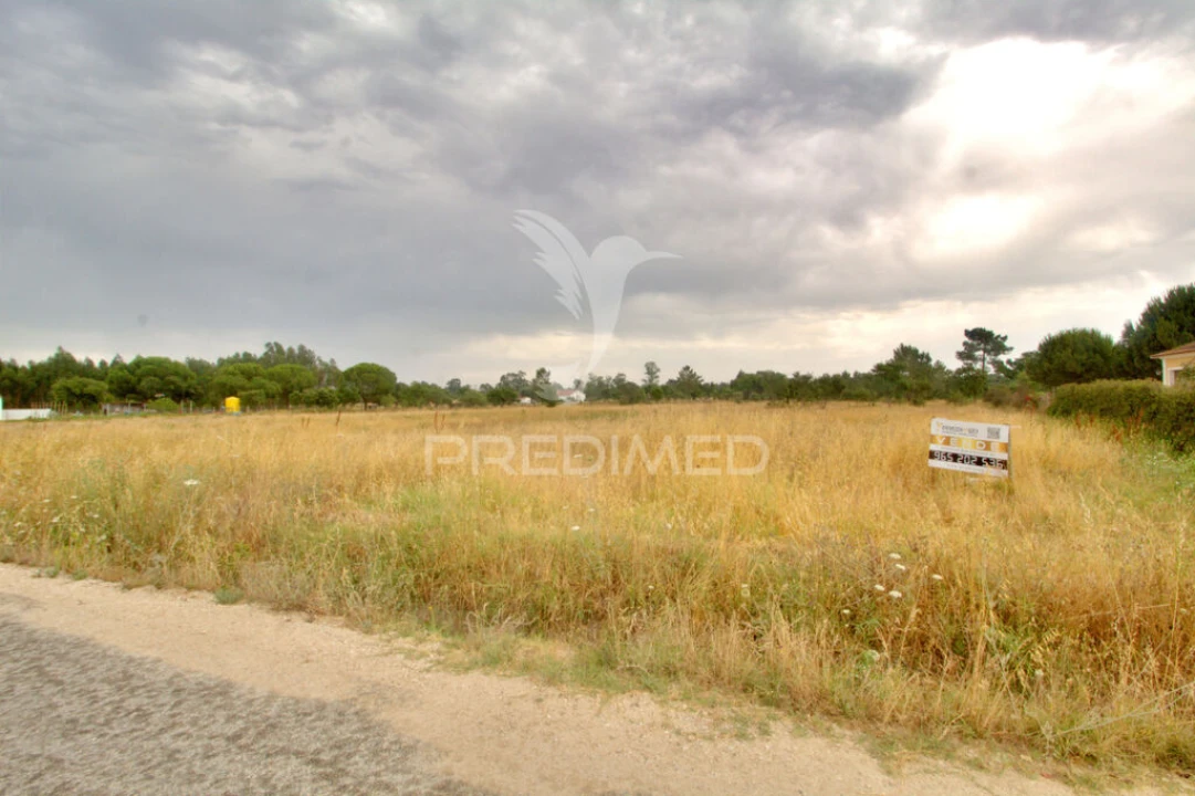 Terreno para Venda em Glória do Ribatejo e Granho Foto 1