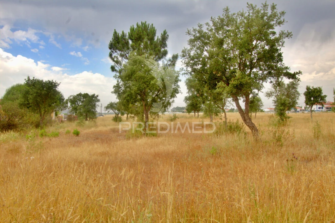 Terreno para Venda em Glória do Ribatejo e Granho Foto 4