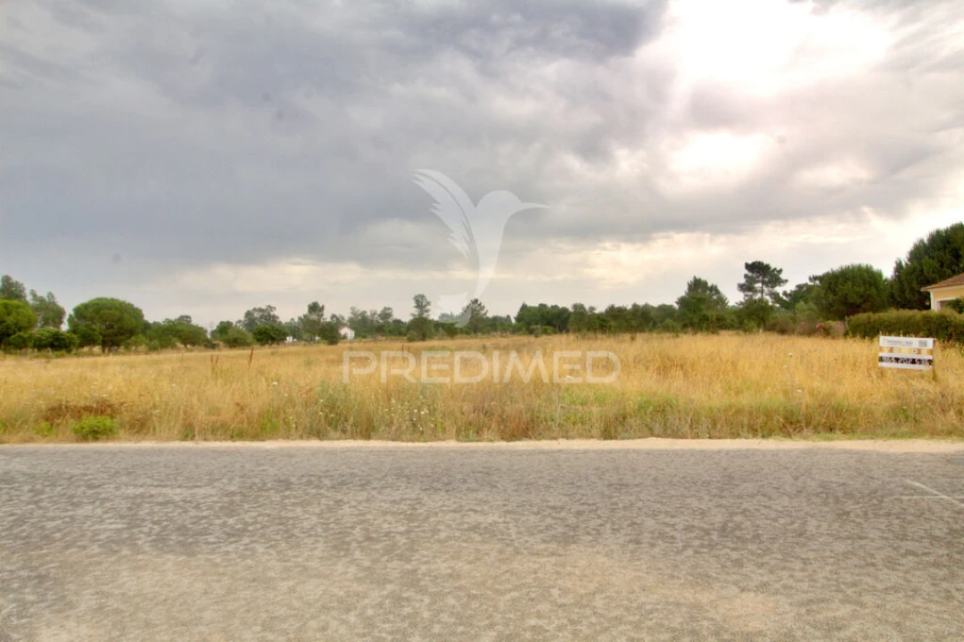 Terreno para Venda em Glória do Ribatejo e Granho Foto 2