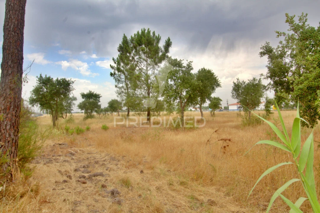 Terreno para Venda em Glória do Ribatejo e Granho Foto 3