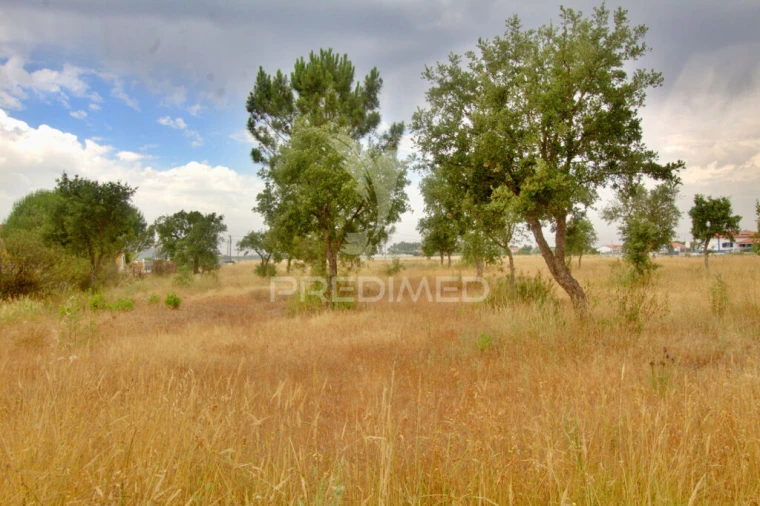 Terreno para Venda em Glória do Ribatejo e Granho Foto 4