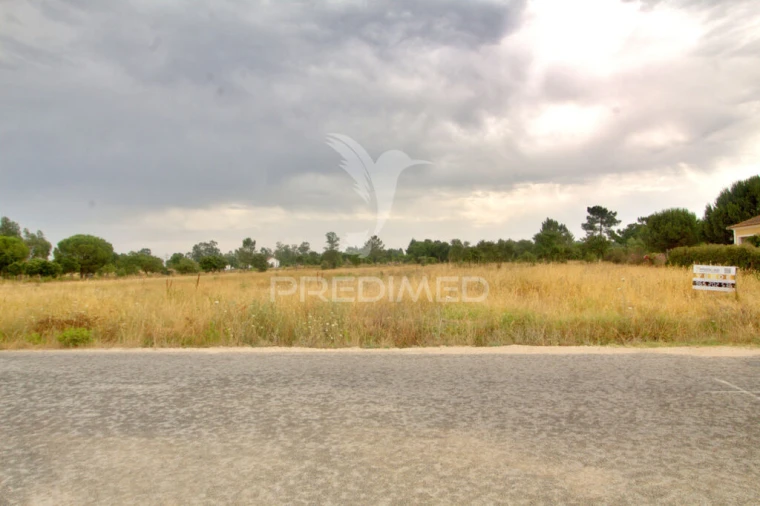 Terreno para Venda em Glória do Ribatejo e Granho Foto 2