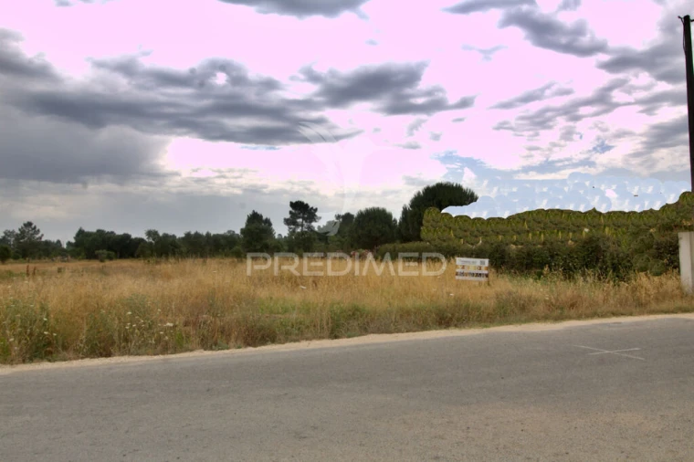 Terreno para Venda em Glória do Ribatejo e Granho Foto 8