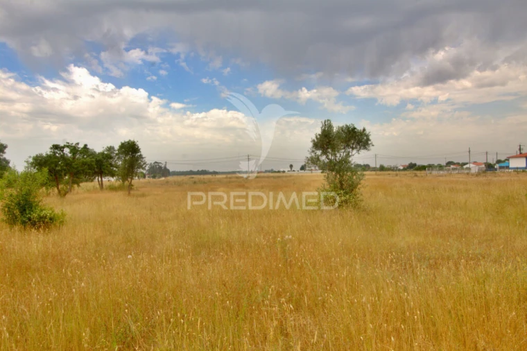 Terreno para Venda em Glória do Ribatejo e Granho Foto 5