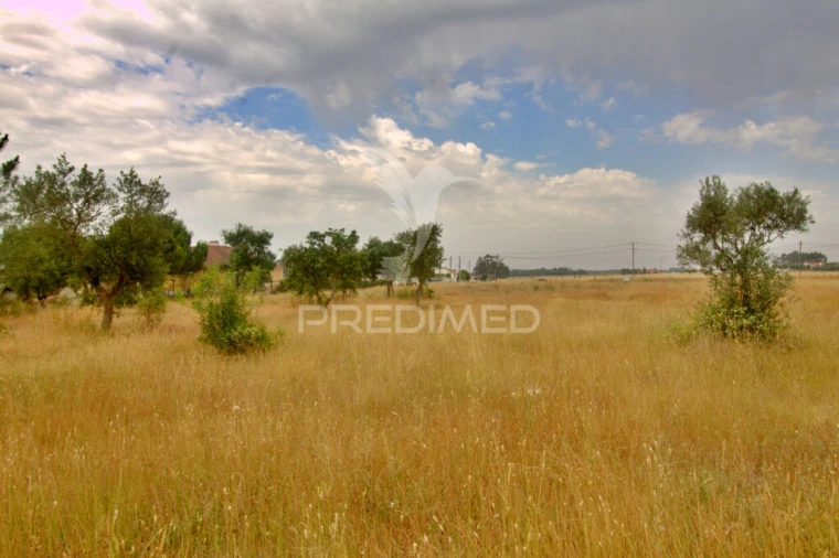 Terreno para Venda em Glória do Ribatejo e Granho Foto 6