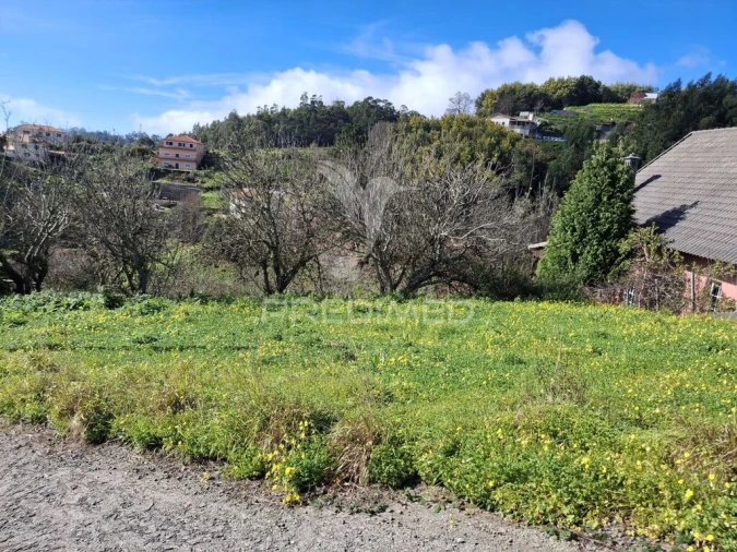 Terreno para Venda em Camacha Foto 2