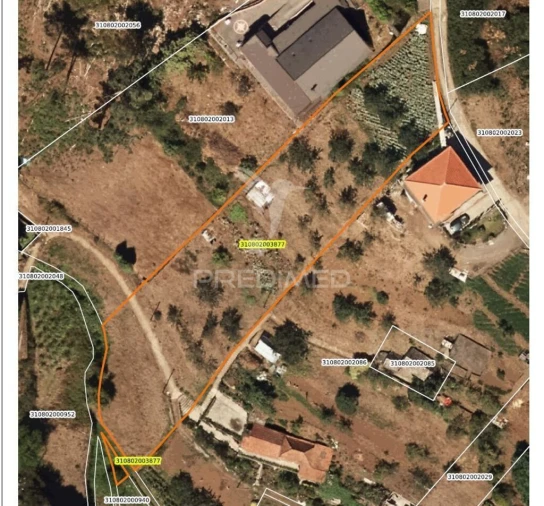 Terreno para Venda em Camacha Foto 5