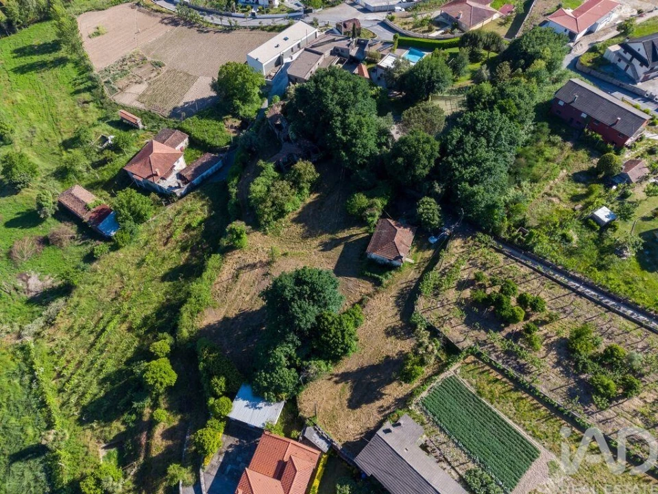Terreno para Venda em Vilela Foto 15