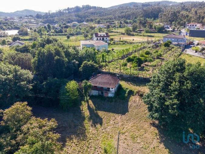 Terreno para Venda em Vilela Foto 12