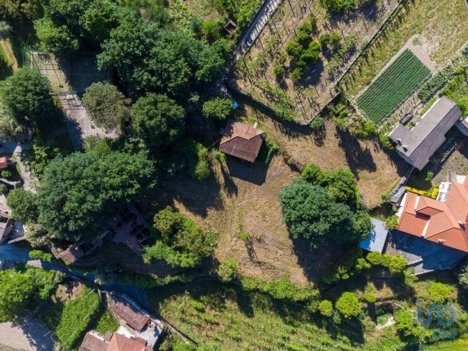 Terreno para Venda em Vilela Foto 3