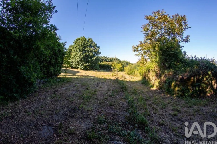 Terreno para Venda em Vilela Foto 20