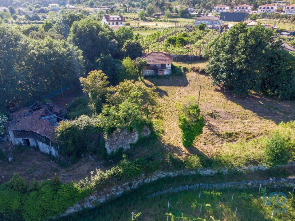 Terreno para Venda em Vilela Foto 6