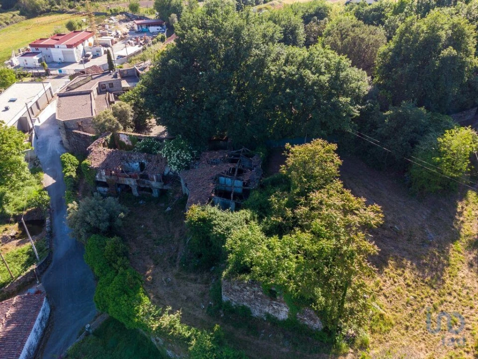 Terreno para Venda em Vilela Foto 13