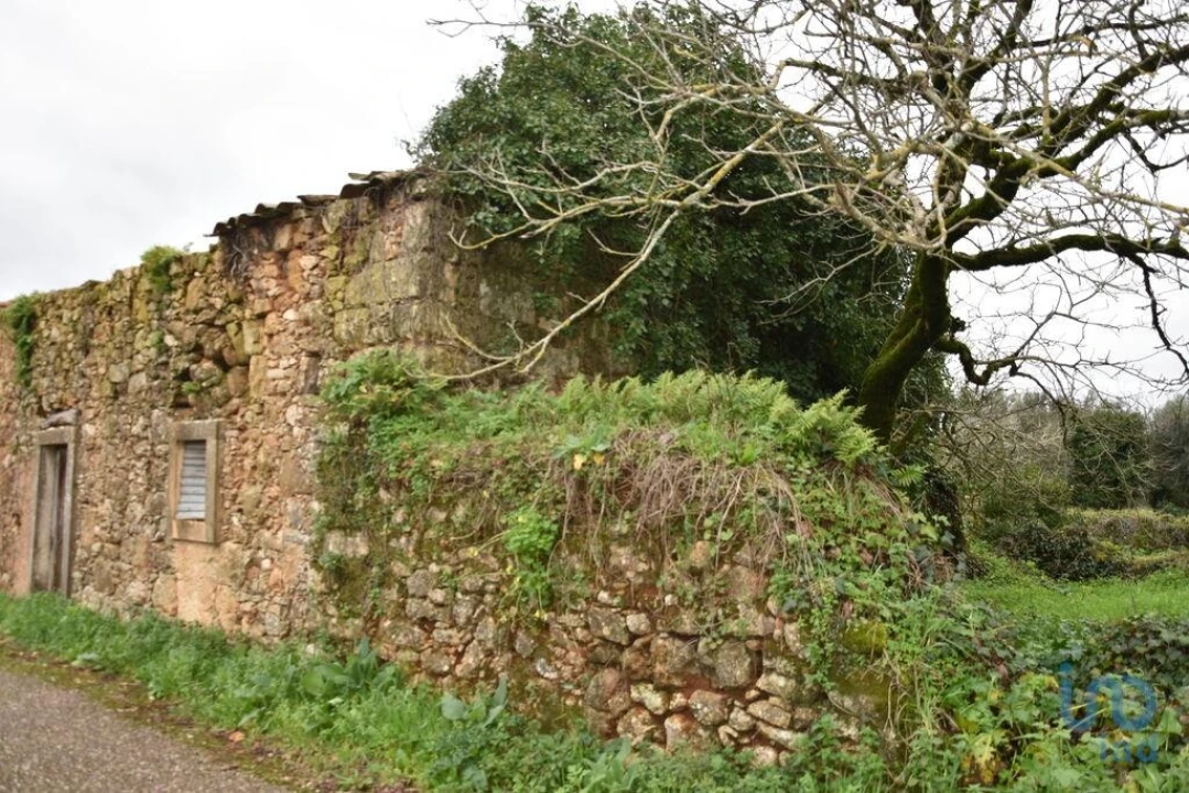 Moradia T1 para Venda em Nossa Senhora do Pranto Foto 8