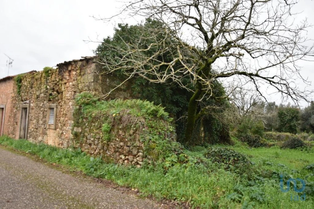 Moradia T1 para Venda em Nossa Senhora do Pranto Foto 4