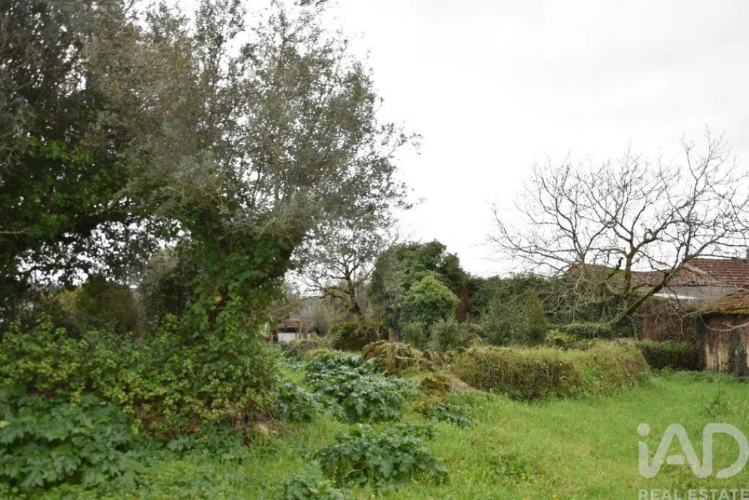 Moradia T1 para Venda em Nossa Senhora do Pranto Foto 19