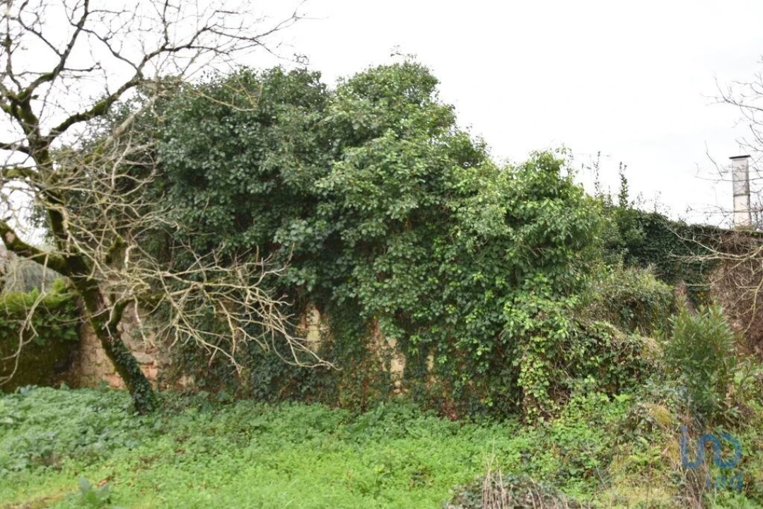 Moradia T1 para Venda em Nossa Senhora do Pranto Foto 14